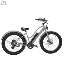 48V500W E Cycle Road Electric Bike/ 26" Big Tire Bike